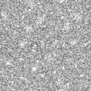 Meet your Posher, Cameron